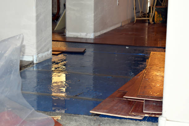 Professional Flood Cleanup technician working in Lincoln, MA