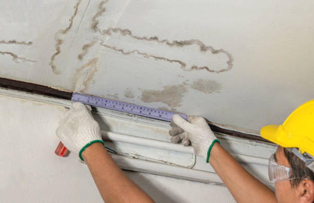 Reliable Flood Cleanup contractor in Lincoln, MA by Water Damage Irwin